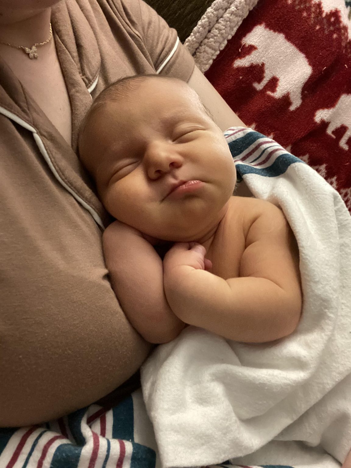 Bell's Daylily Garden